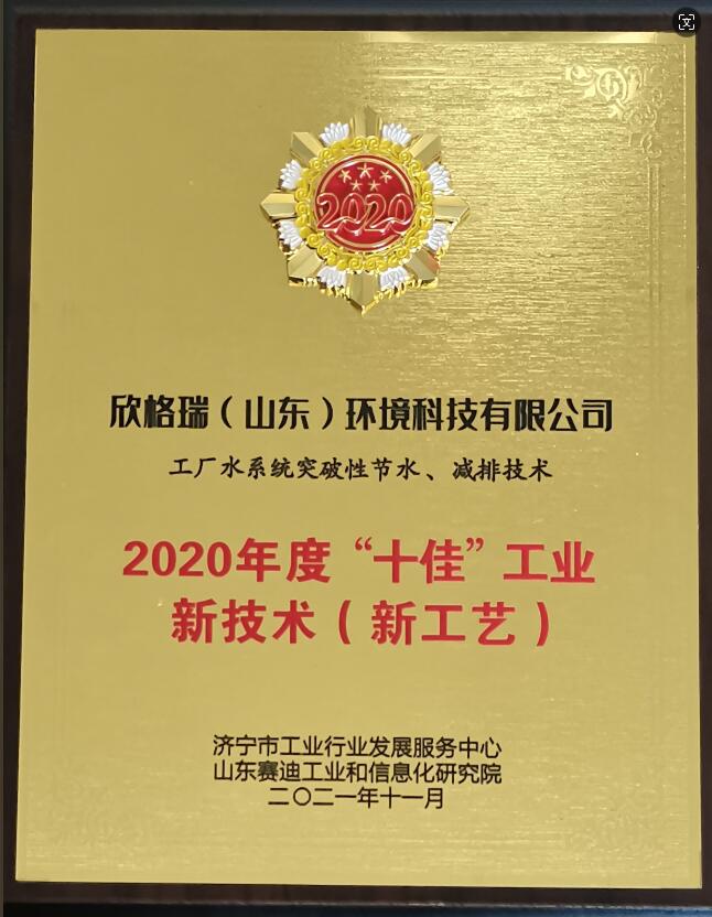 2020年度“十佳”工業(yè)新技術（新工藝）